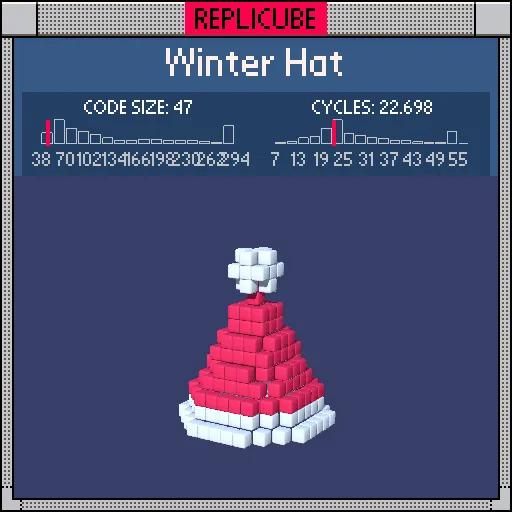 Winter Hat